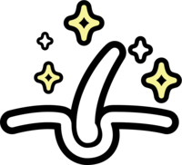 zdravá kůže a srst